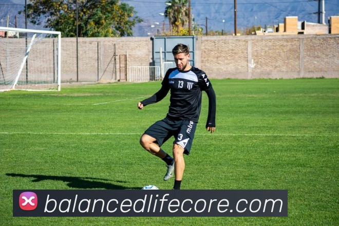 开云平台生态图